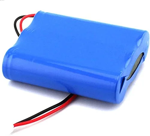 12v 3000 mAh battery with BMS and charger